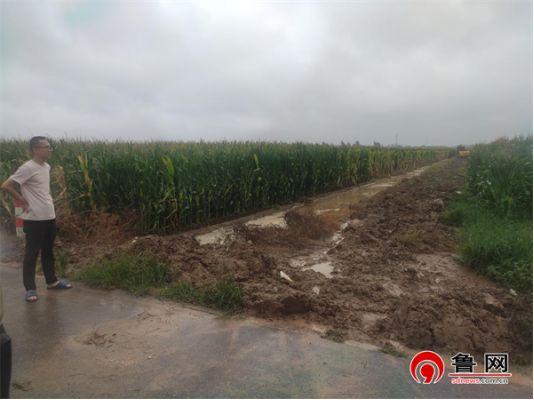 凯发国际德州市陵城区徽王庄镇：“三严”行动 打好强降雨应对“组合拳”(图2)