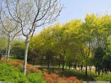 凯发k8·(国际)官方网站工地红帽子代表什么职位？哪些人会戴呢？